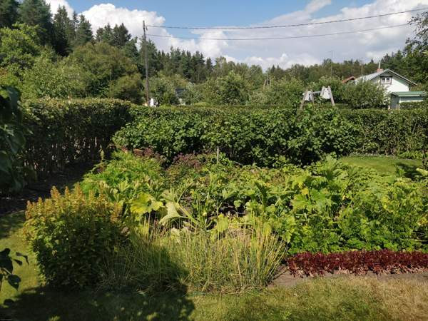 2h + s  Chukotskiy Avtonomnyy Okrug – foto 5