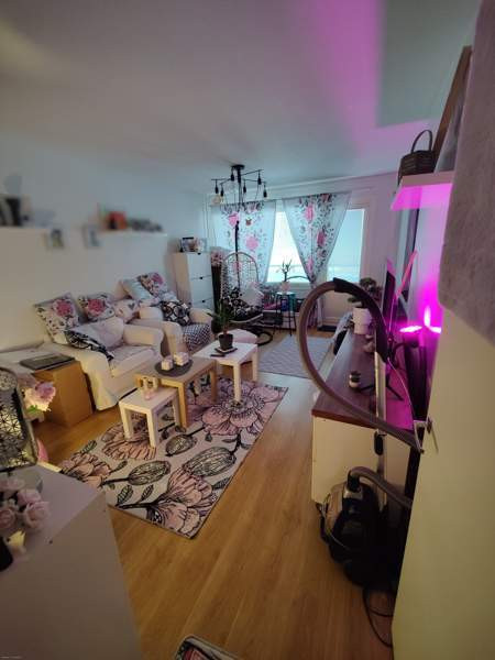 2h + k + p  Seinäjoki - valokuva 4