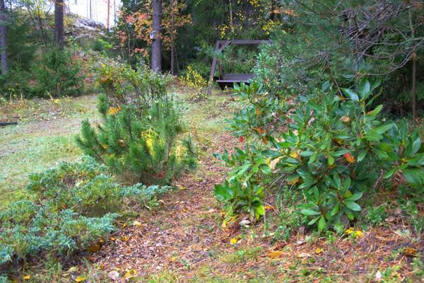 3h + k + s  Espoo – foto 6