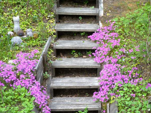 3h + k + s  Espoo – foto 5