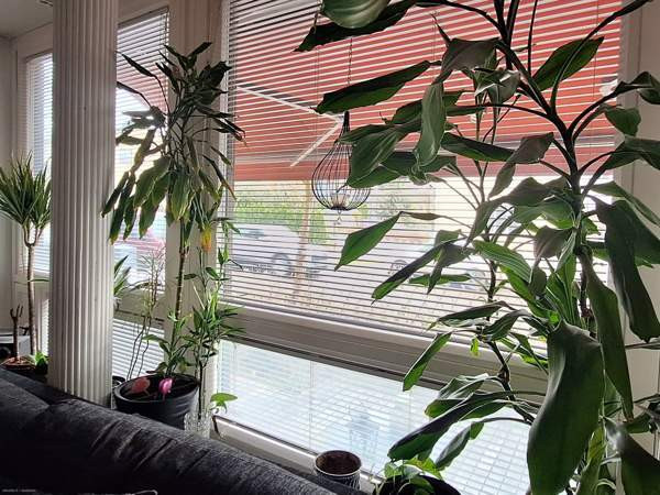 2h + kk + kph  Порвоо - изображение 4