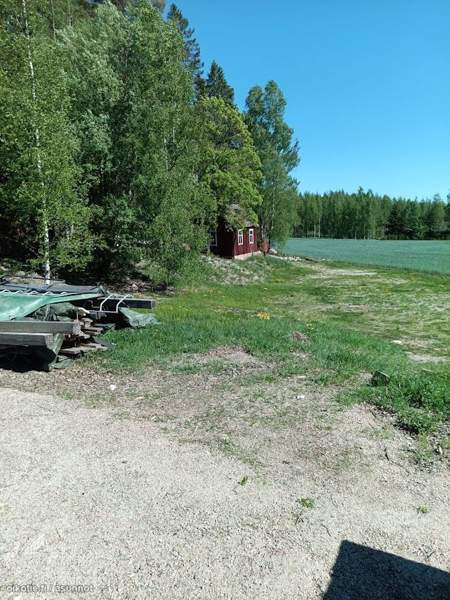 5h  Paimio - valokuva 10