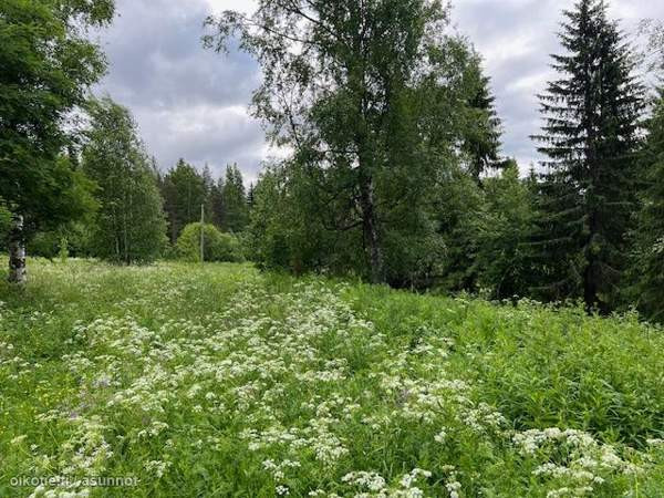 2h  Kuopio – foto 1