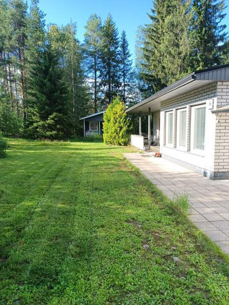 6h  Tervola - valokuva 3