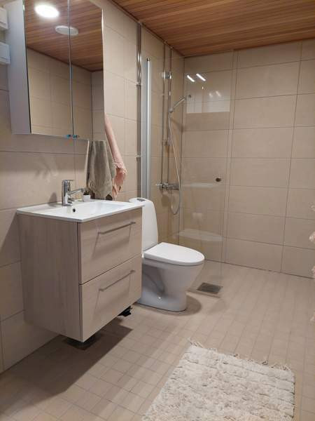 1h + k + ulk. v. + lasitettu terassi  Jyväskylä - valokuva 8