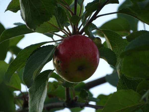 1h  Оулу - изображение 9