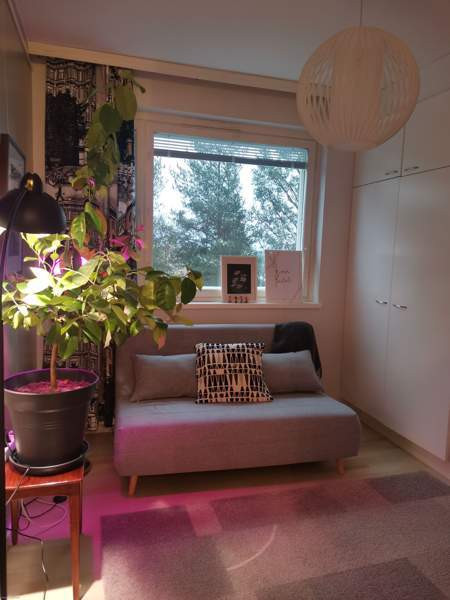 4h + k +vh+ p  Kajaani - valokuva 10