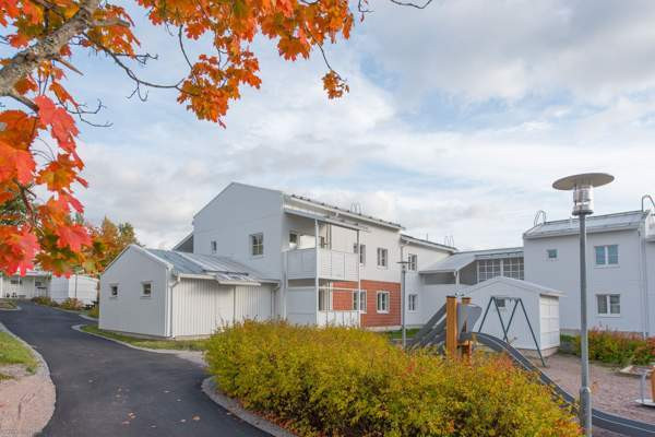 3h + k + p  Glebychevo - valokuva 10