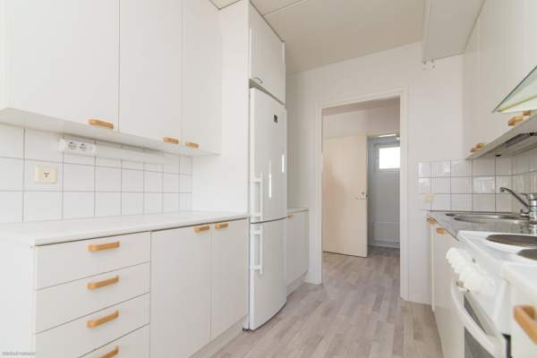 3h + k + p  Glebychevo - valokuva 2