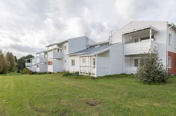 3h + k + p  Glebychevo - valokuva 8