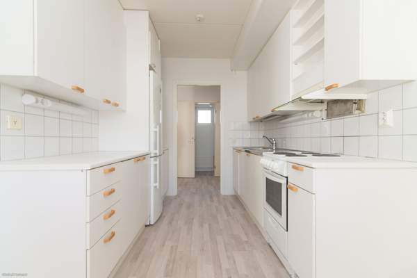 3h + k + p  Glebychevo - valokuva 3