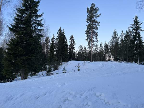 2  Virrat - изображение 10