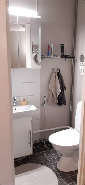 4h + k + vh + wc + kph + lasp  Jaemsae - photo 8