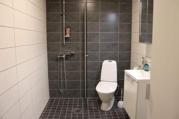 1h + p  Запорожская область - изображение 3