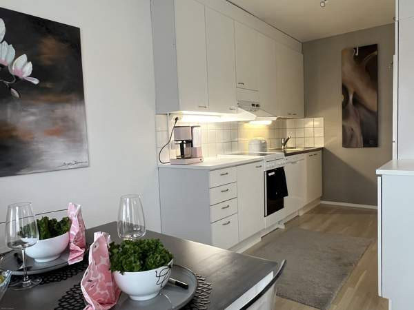 2h + k+s + iso varasto  Kaarina - valokuva 1