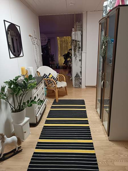 4h + k + s  Kuhmo – foto 5