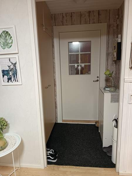 4h + k + s  Kuhmo – foto 8