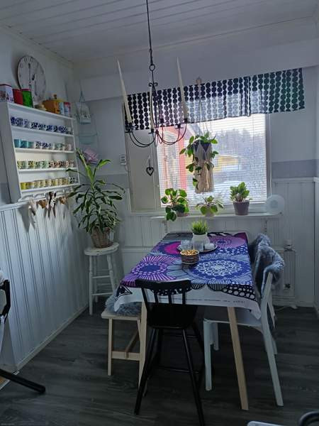 4h + k + s  Kuhmo – foto 7