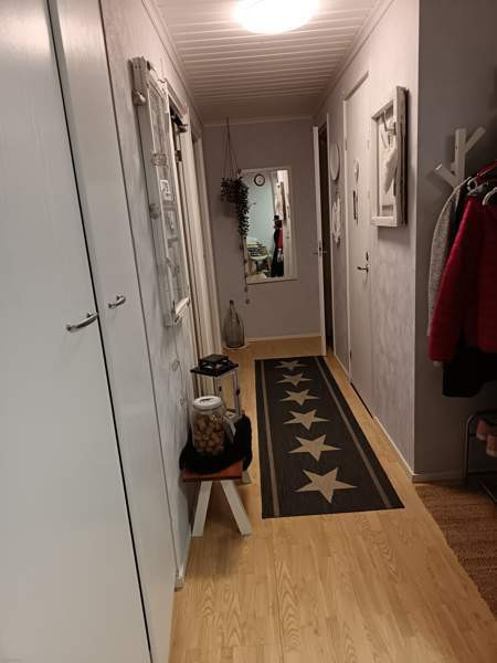 4h + k + s  Kuhmo – foto 4