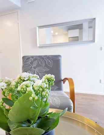 2h + avok + p  Helsinki