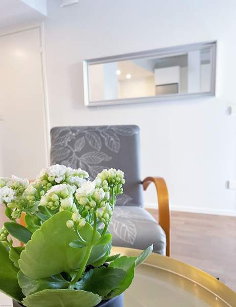 2h + avok + p  Helsinki - photo 1