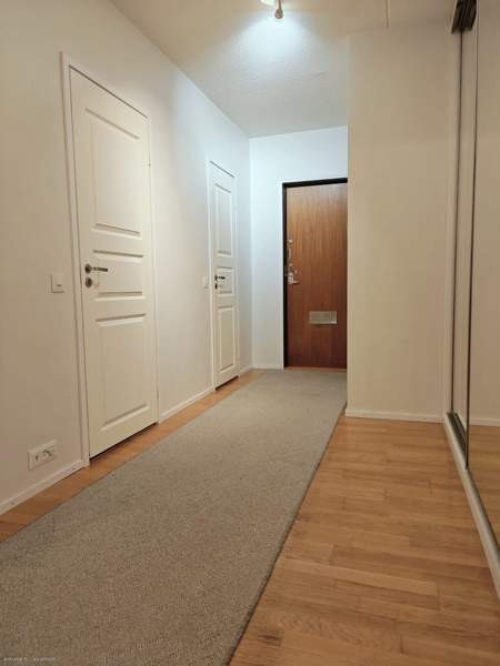 3h + k + p  Turtkul - valokuva 7