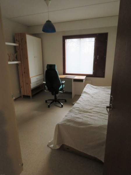 5h + k + s + p  Glebychevo - valokuva 7