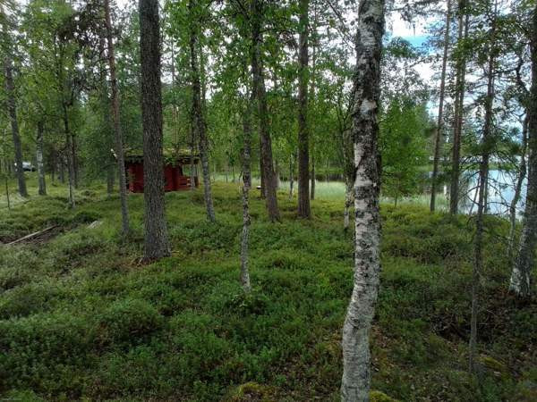 1h  Rovaniemi - photo 6