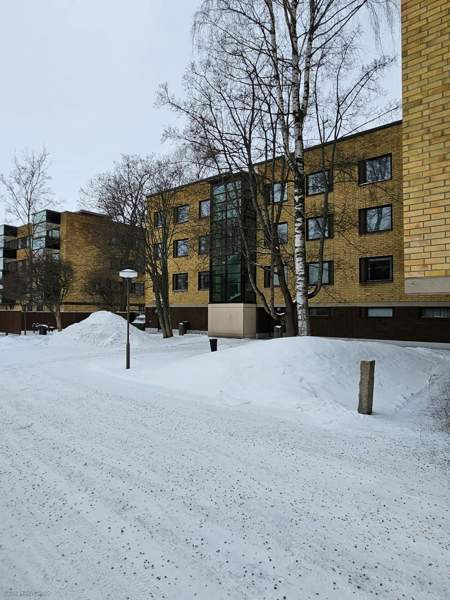 1h + s + p  Йоэнсуу - изображение 4