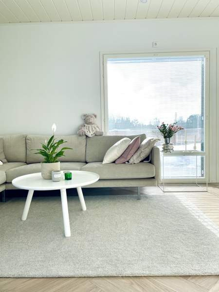 3h + s  Sibbo - photo 5