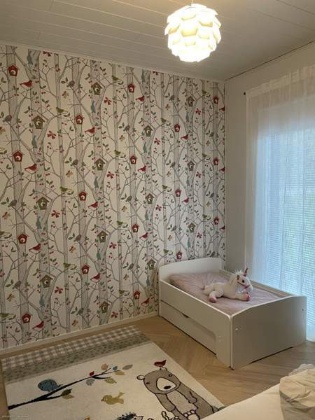 3h + s  Sibbo - photo 7