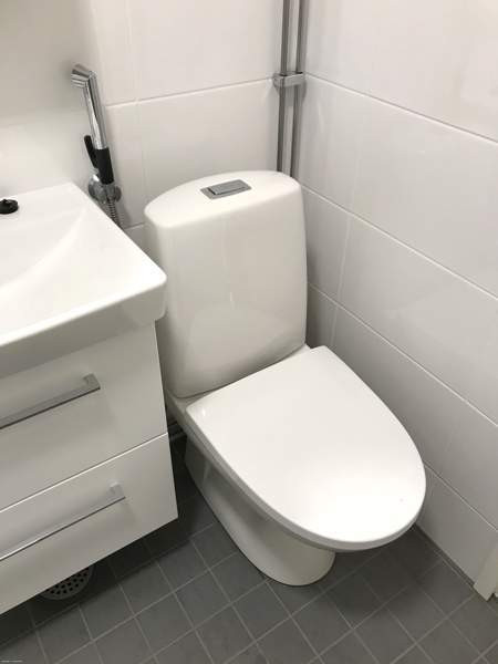 1h + kk  Раума - изображение 9