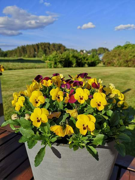 6mh +k+oh+aula+khh+ph+s+2xwc, erillinen autotalli+  Naantali - photo 10