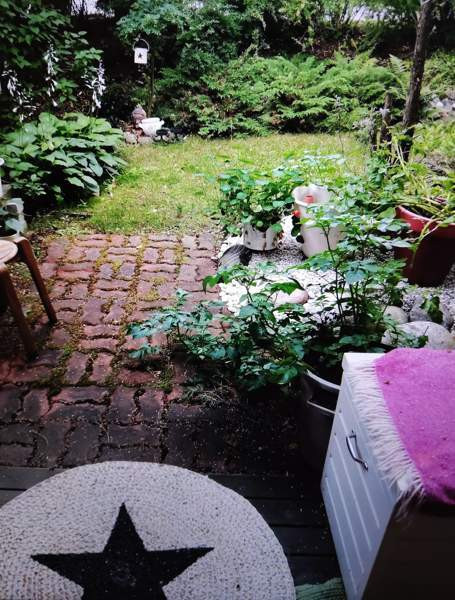 1h+alkovi+kk+kylpyhuone+oma piha  Espoo - valokuva 1