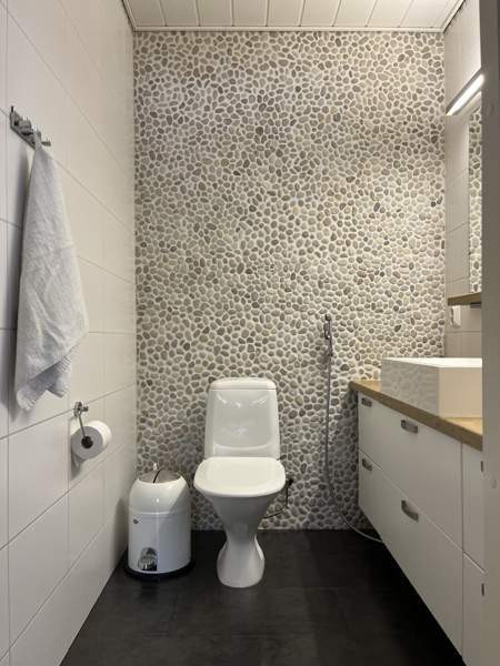 5h + k + s  Lapinlahti - valokuva 3