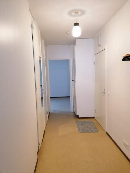 2h + avok + p  Ruokolahti – foto 4