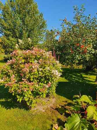 4h + k + s  Сейняйоки