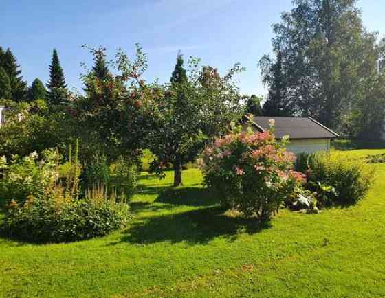 4h + k + s  Сейняйоки