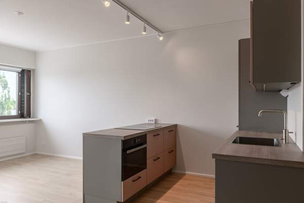 3h + k + 2kph + s + kamina + kattoterassi  Dzhankoy - valokuva 8