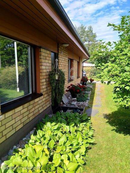 5h + k + s  Pihtipudas – foto 4