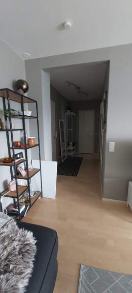 2h + avok + p  Kemin - valokuva 3