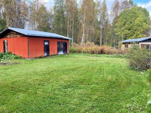 3h + s  Lodeynoye Pole - valokuva 3