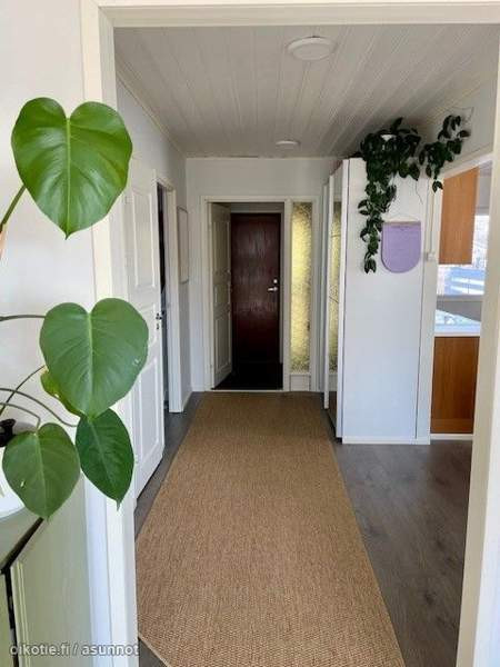 3h + avok + s  Sarov - valokuva 2