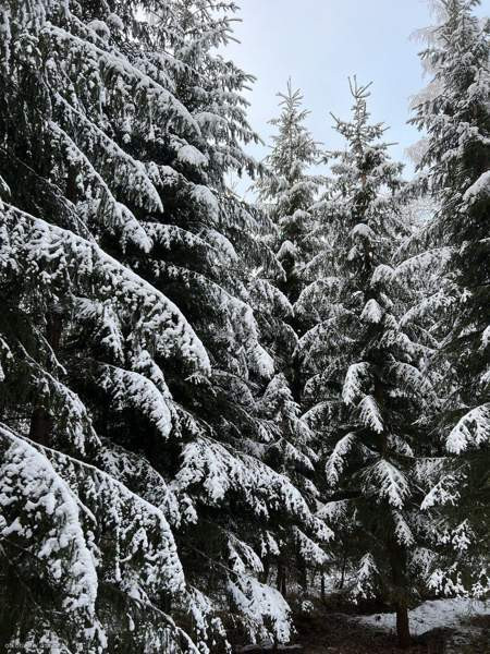 3h + p  Kaavi – foto 1