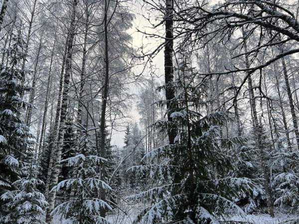 3h + p  Kaavi – foto 2