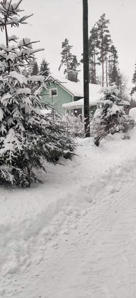 2h + avok  Glebychevo - valokuva 6