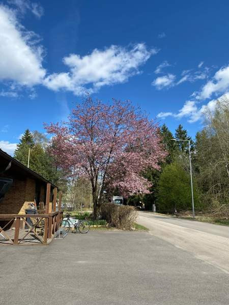 6h+2k+4wc+tkh+s+at+2th  Vantaa – foto 2