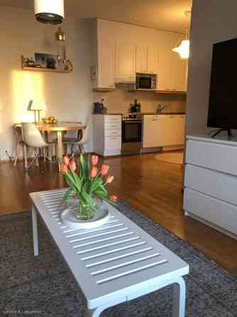 2h + avok + s + p  Mikkeli