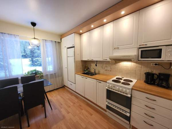 3h + s + p  Йоэнсуу - изображение 4