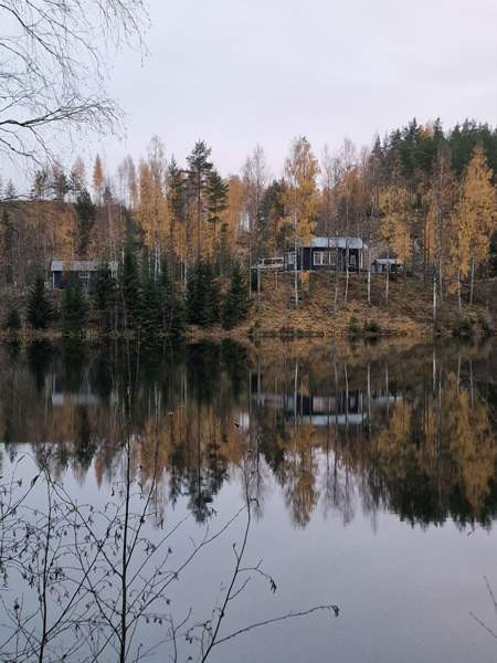 2h + s  Холлола - изображение 1